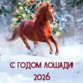 С Новым 2026 годом Лошади и Рождеством! 